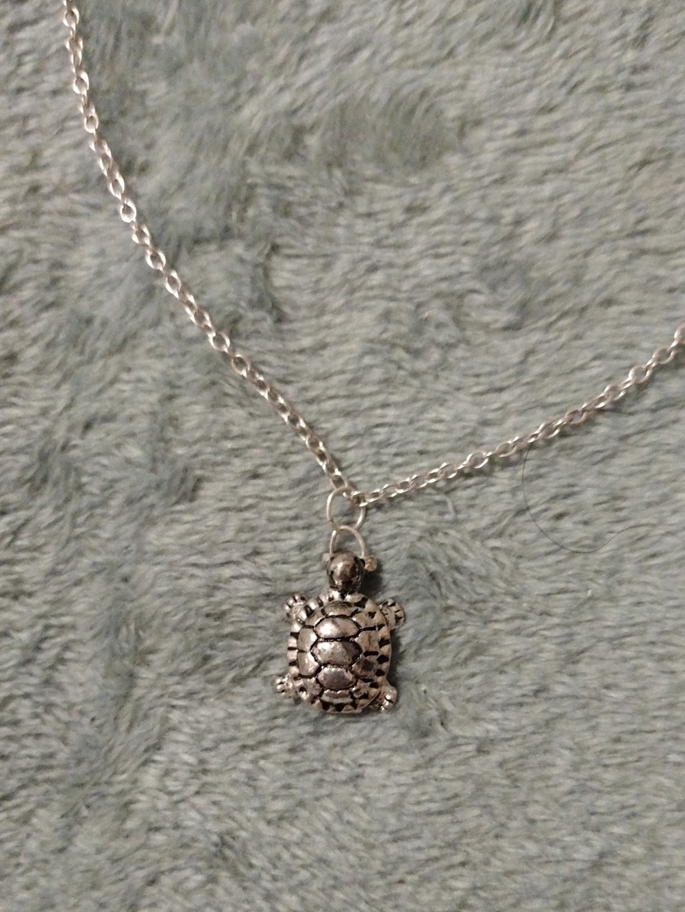 Silver Turtle Pendant Necklace